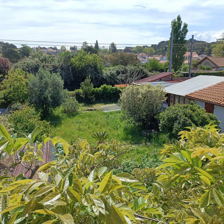 Appartements - 3 pièces et 1 pièce - 87 m² et 25 m²