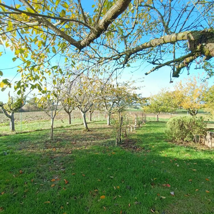 Maison - 6 pièces - 190 m²
