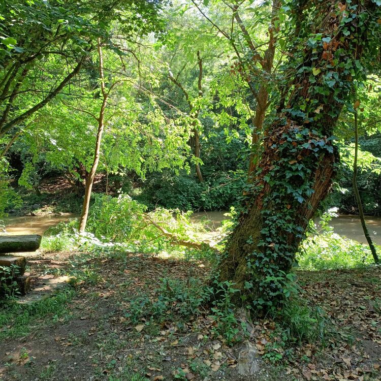 Maison - 5 pièces - 150 m²