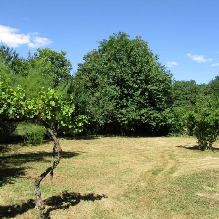 Maison - 5 pièces - 138 m²