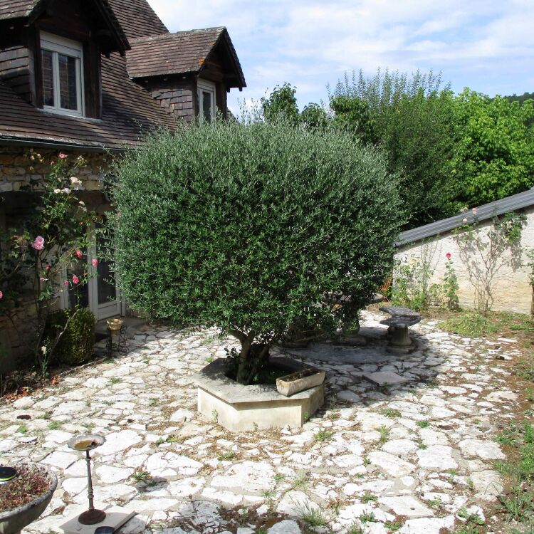 Maison - 5 pièces - 146 m²