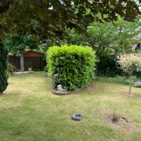 Maison - 3 pièces - 75 m²
