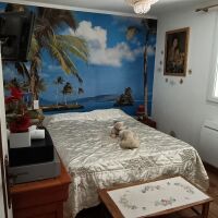 Maison - 5 pièces - 150 m²