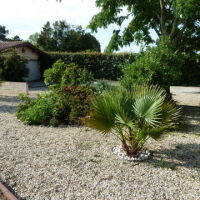 Maison - 6 pièces - 260 m²